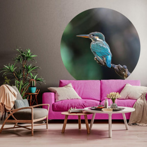 WallArt Círculo de papel pintado The Kingfisher 190 cm D