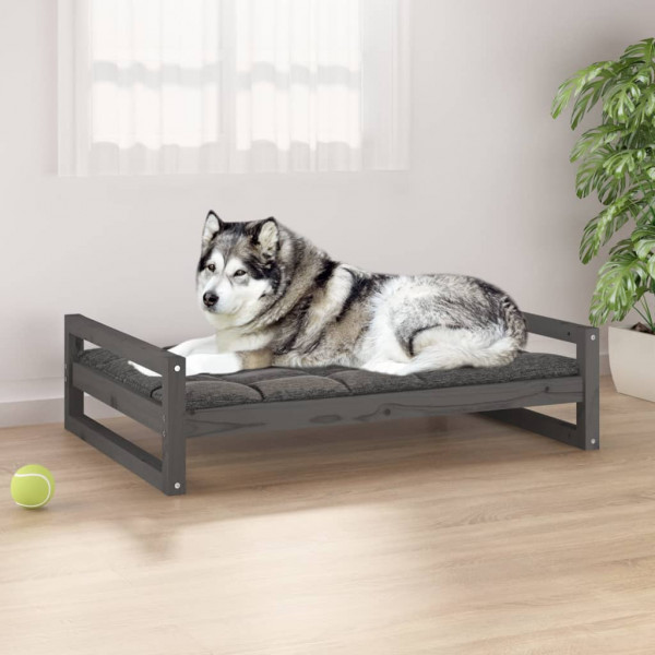 Cama de cão madeira maciça de pinho cinza 105.5x75.5x28 cm D