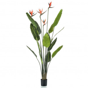 Emerald Árvore Strelitzia artificial com 4 flores em vaso 150 cm D