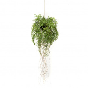 Emerald Fermento artificial pendente com raízes de 35 cm D