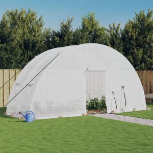 Invernadero con estructura de acero blanco 12 m² 6x2x2.85 m D