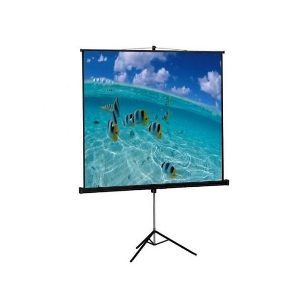 Ecrã de projecção Approx com tripé 200x200 branco M 2