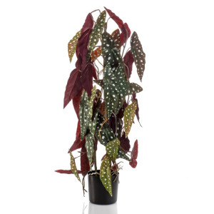 Emerald Begonia maculata artificial en maceta 75 cm D
