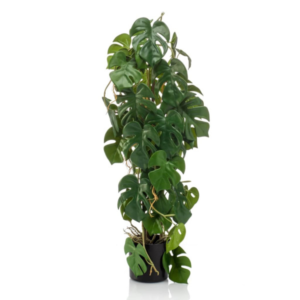 Emerald Monstro artificial em pote de 75 cm D