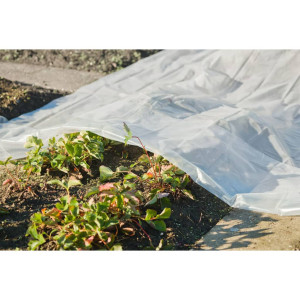 Nature Cobertor para plantas transparente 4x6 m 100µ D