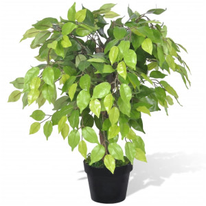 Planta enana artificial de ficus en maceta. 60 cm D