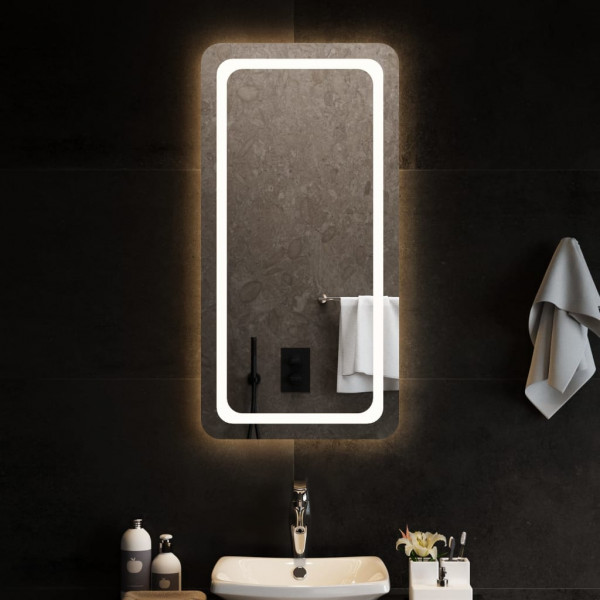 Espelho de banheiro com LED 50x100 cm D