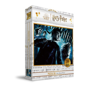 Puzzle 100 pôster com efeito 3D Harry Potter e o Enigma do Príncipe Harry Potter D