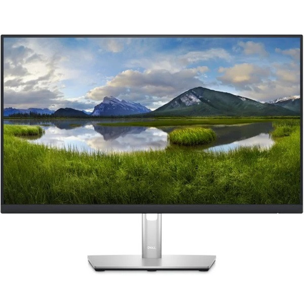 Monitor DELL P 23.8" IPS P2423DE negro/plata D