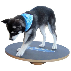 FitPAWS Tabla de equilibrio negro 50 cm D