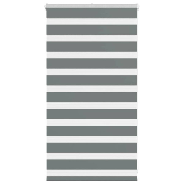 Estor cebra gris oscuro 70x100cm tejido ancho 65.9 cm poliéster D