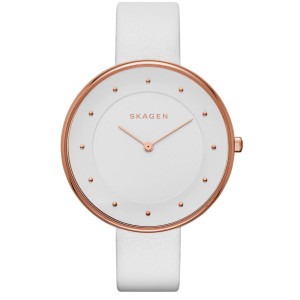 RELOJ SKAGEN MUJER  SKW2291 (38MM) D