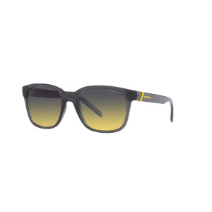 GAFAS DE SOL ARNETTE UNISEX  AN432027862Q5 D