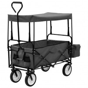 Carrito de mano plegable con capota acero gris D